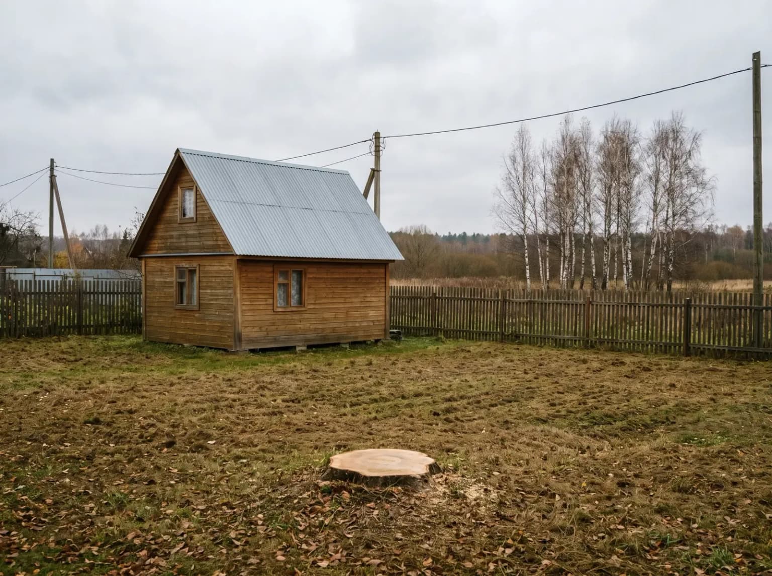 Участок после спила: ровный пень, чистый газон