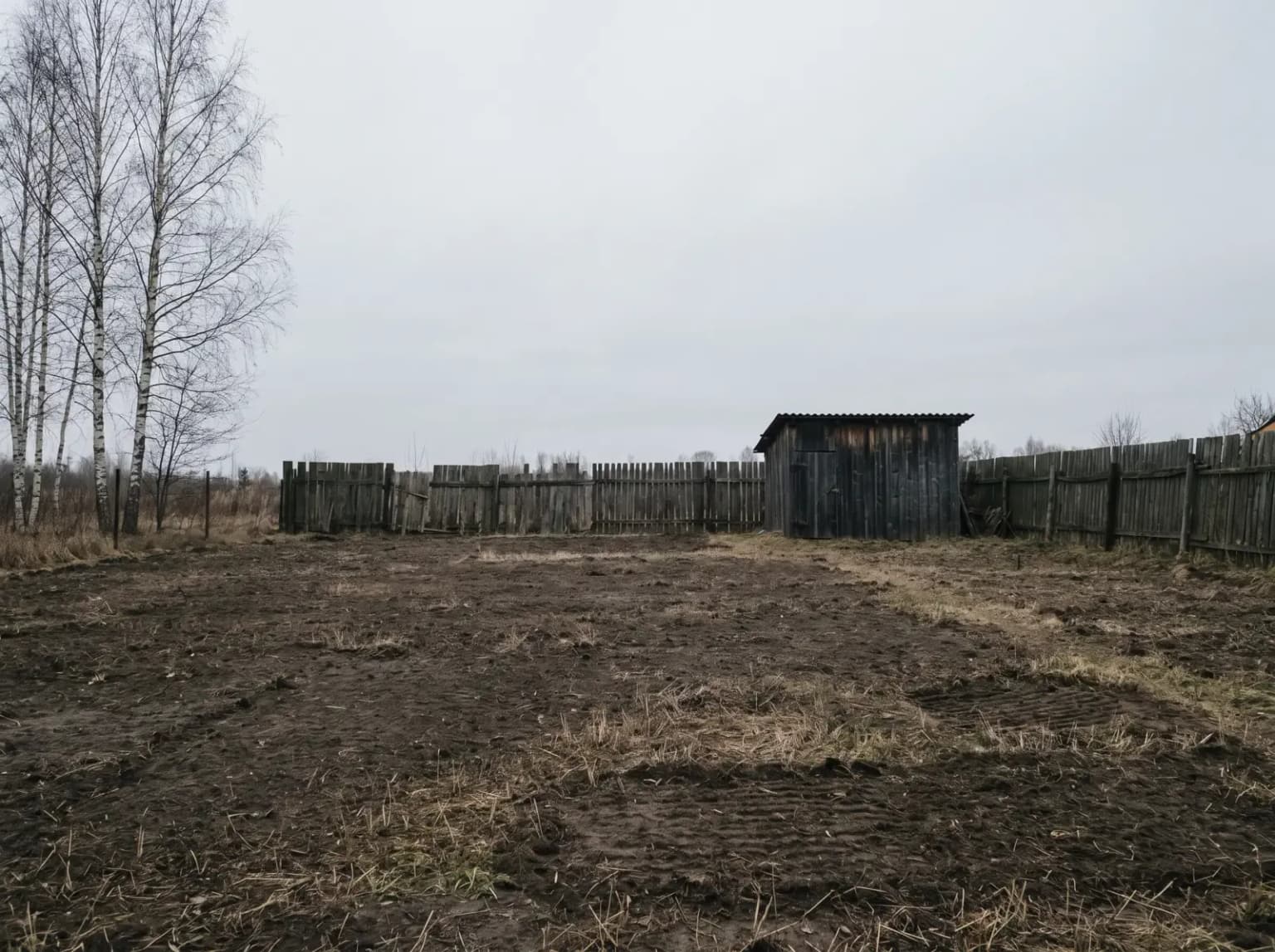 Расчищенный ровный участок